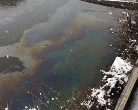 Съмнения за разлив в река Чая! Мъртви риби стреснаха асеногравчани