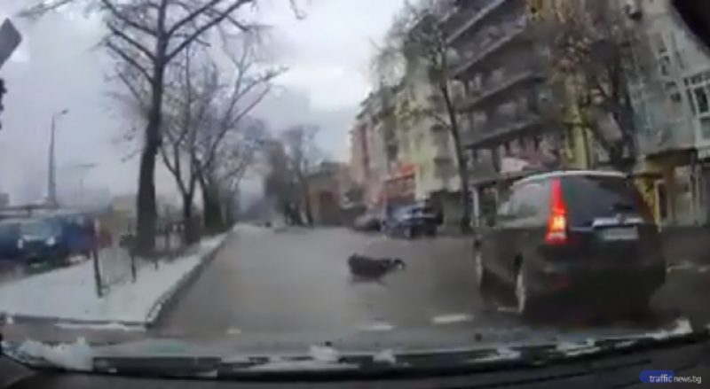 Кола помете пешеходец на кръстовище в Пловдив