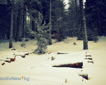 Десет души - блокирани на Върховръх! Снегорин закъсал по пътя за хижата