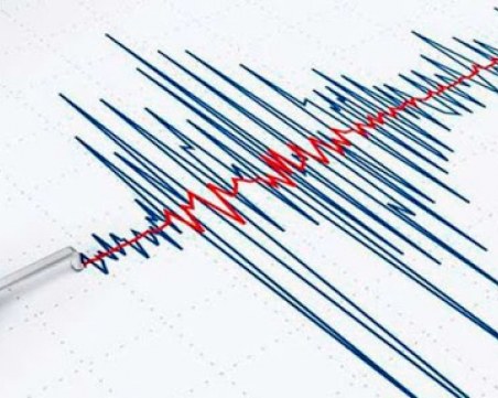 Няколко земетресения разтресоха остров Крит