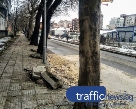 Пловдивчанка: Докога ще търпим безобразията на булевард в Кючука?