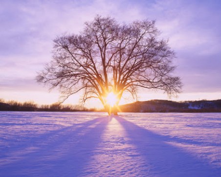 Очаква ни температурна амплитуда от 30 градуса!