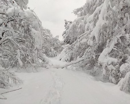 Двама души и дете са били блокирани в хижа над Храбрино