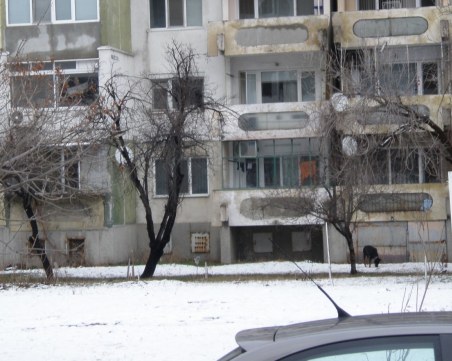 Пловдивчанка възмути съседите си в Тракия! Пусна добермана си без каишка