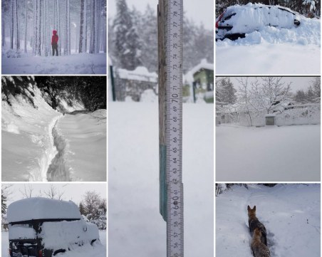 Четири семейства блокирани от снега край Дедево, пети ден до там не стига снегорин