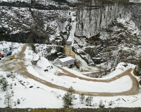 Директор на 