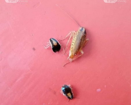 Първи случай на жиардиаза в Пловдивско за тази година