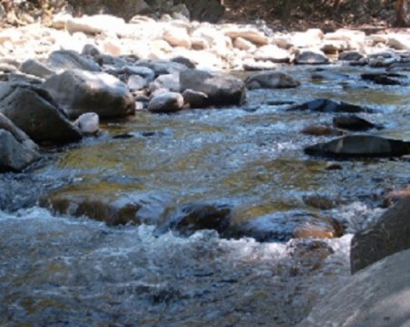 Предупреждение: Жителите на две села в Асеновградско да не ползват реката