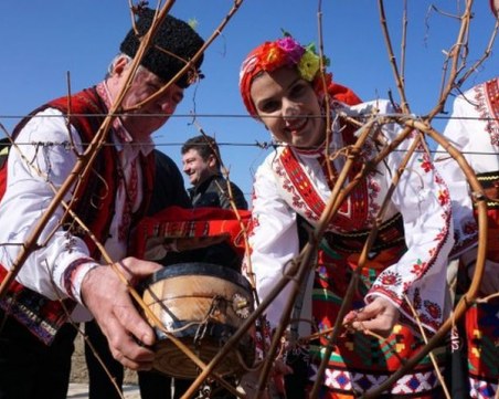 Вино се лее днес в Пловдивско, зарязват се лозя, земята се люлее от кръшни хора