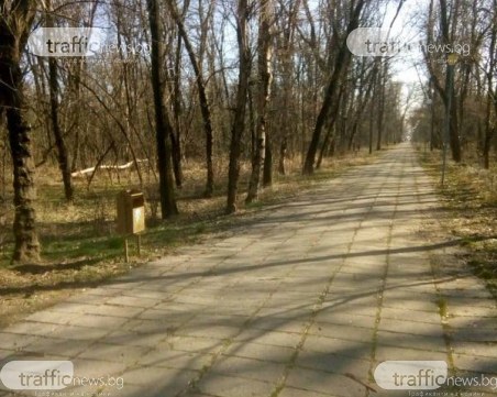 След една седмица: Изчистиха боклуците в Лаута