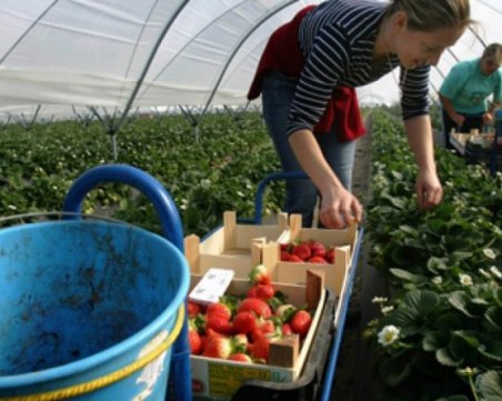 Великобритания въвежда точкова система за чуждестранните работници