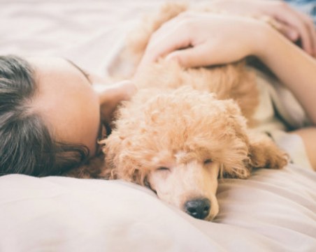 Какво означава позата, в която домашният ви любимец заспива