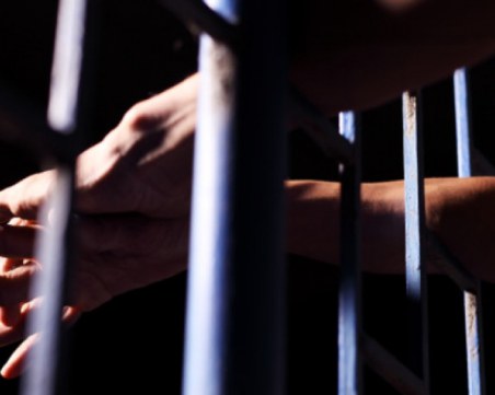 Петима арестувани в Пазарджишко заради вандалщина на лозе