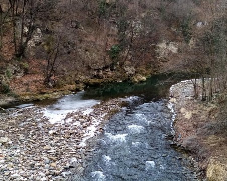 Извънредно: Нова отровена река край Пловдив!