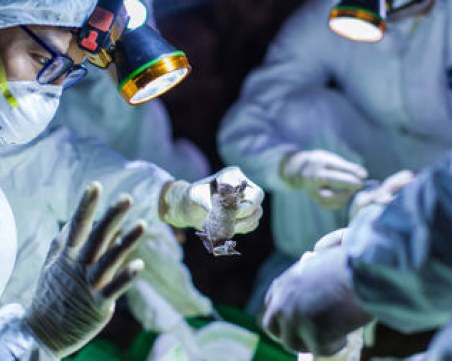 Първа жертва на коронавируса в Италия