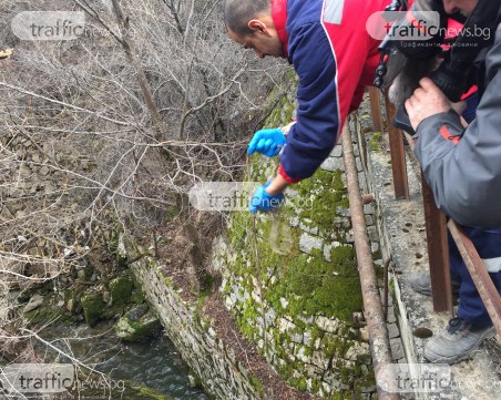 Ревизоро: Замърсяването е много неприятно! Знаем кой е виновникът, прокурор идва насам