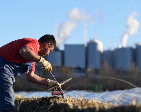 Молдовец спипан да работи 