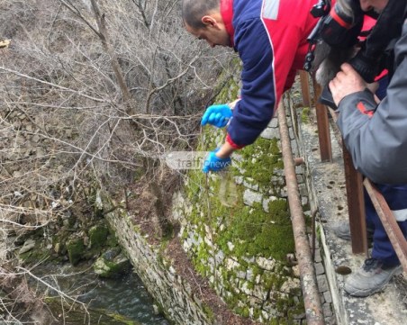 Прокуратурата обвини двамата арестувани за замърсяването на реките Чая и Юговска