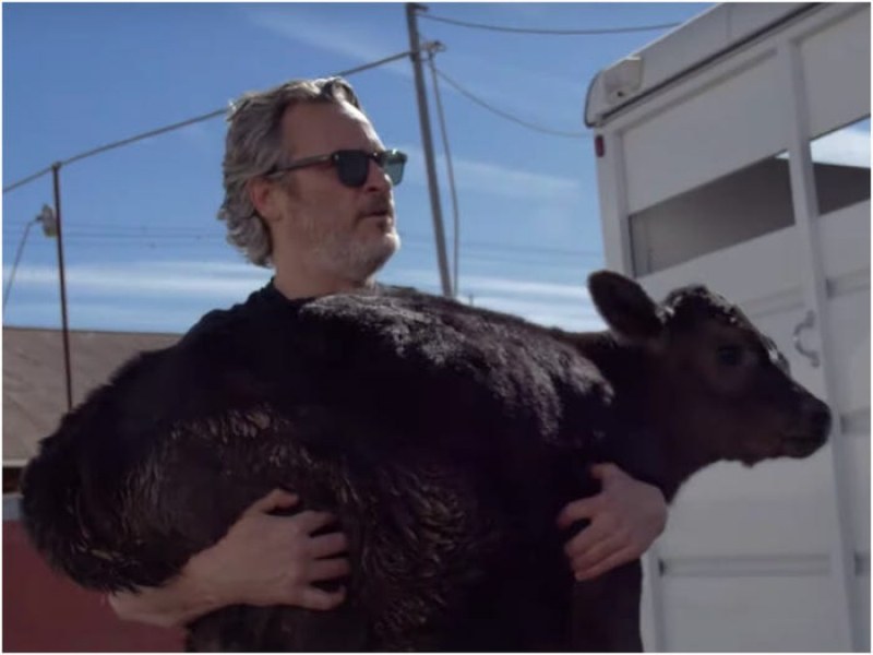 Хоакин Финикс спаси крава и теле от кланица в Калифорния