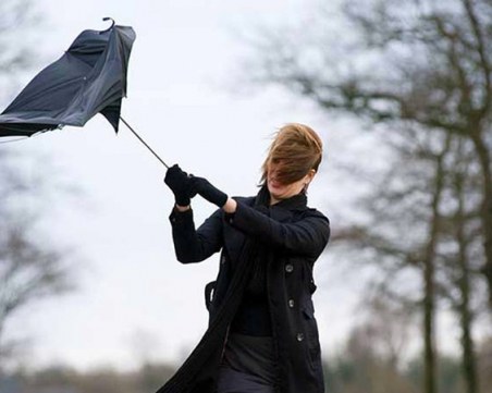 Жълт код за силен вятър у нас