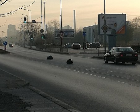 Препятствие на пътя! Черни чували с боклук се търкалят по пловдивски булевард
