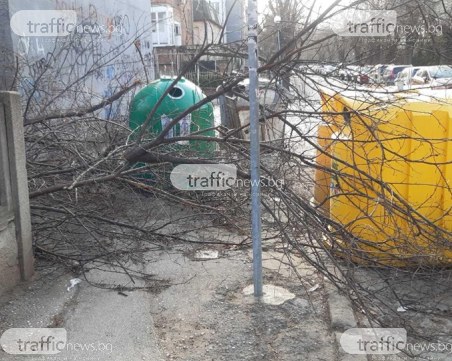 Заградиха тротоар до учебно заведение в Пловдив с купища боклуци