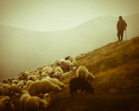 Присъда за пастира, заплашил със смърт и взел ключовете на беззащитен мъж в Пловдивско