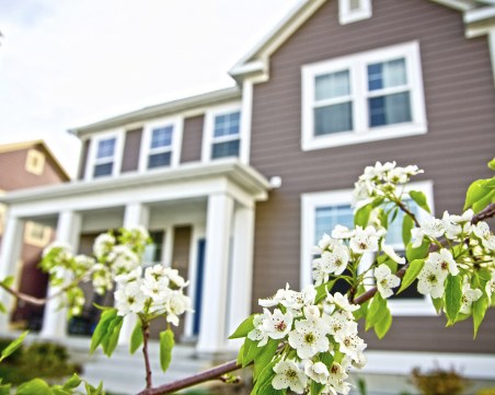 Как да обновим дома си през пролетта?