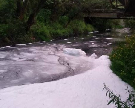 Пяна в река Арда! Екоинспектори взеха проби