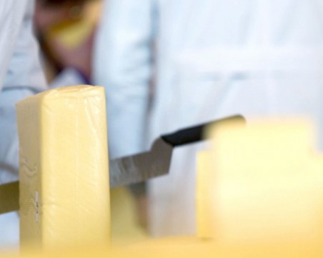 БАБХ насочи за унищожаване кашкавал, произведен от неработещо предприятие