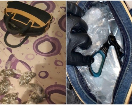 Арестуваха един от най-големите дилъри на бонзай в Столипиново