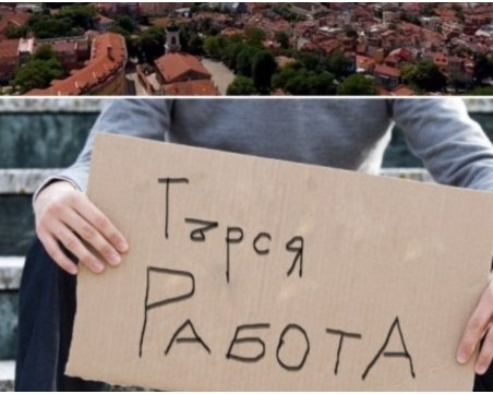 Пазарът на труда отново изпитва глад за кадри в Пловдивско
