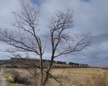 Изпращаме най-топлата зима в Европа, откакто правят изследвания