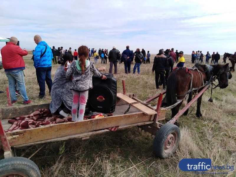 И тази година ще има кушии в Асеновград! Вижте програмата
