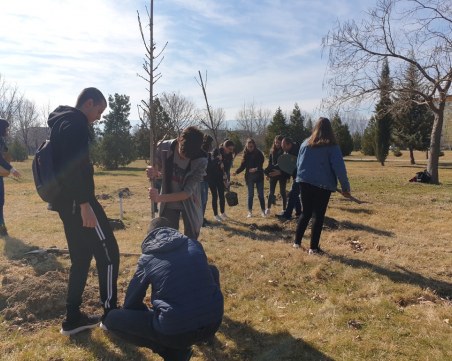 Търговска гимназия засади горичка в 