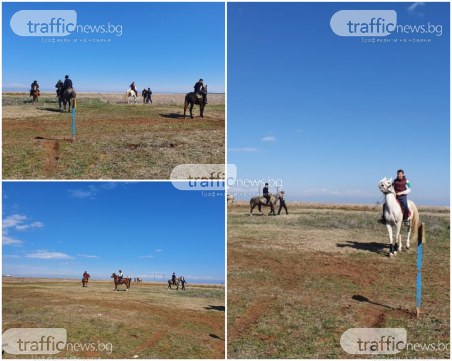 Зейна е най-бързият кон в Асеновград, Тара - най-красива