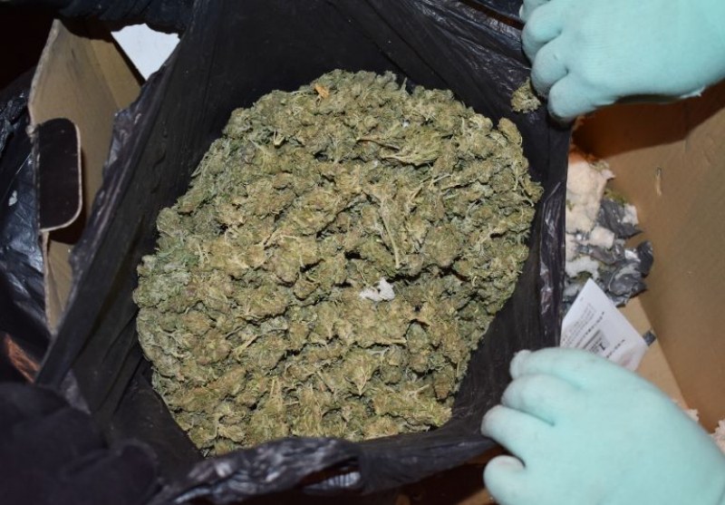 Униформени откриха над 1 кило марихуана в Пловдив