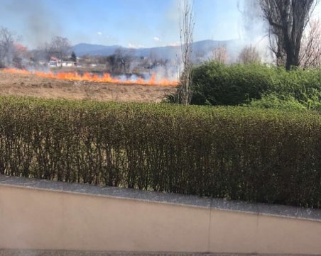 Сухи треви пламнаха на метри от пловдивска болница