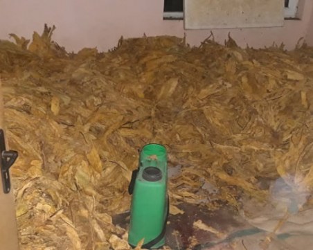 Удар край Пловдив! Арестуваха жена, тъгрувала с тютюн без акциз