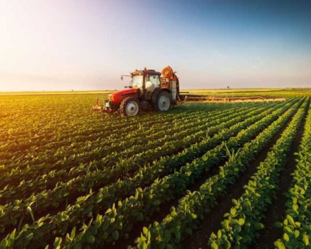 Пазарът на земеделска земя у нас: добър ли е моментът за инвестиция?