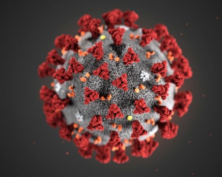 Български вирусолог: Има данни за два различни варианта на коронавируса