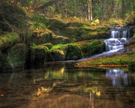 Гласуват 10 нови защитени зони в България, започна обществено обсъждане