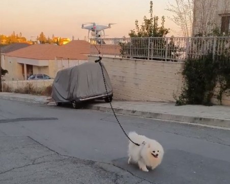 Иновативно! Как да разходиш кучето без да излизаш навън?