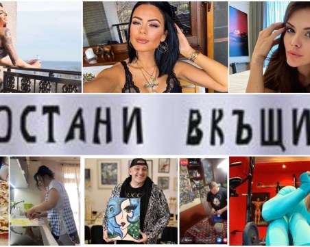 Предизвикателствата, които звездите си отправят по време на социална изолация