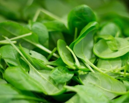 Храните, които предпазват от дихателни заболявания