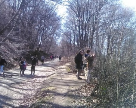 Искат да забранят Витоша, над 60 души вече са клиенти на прокуратурата за нарушаване на карантина