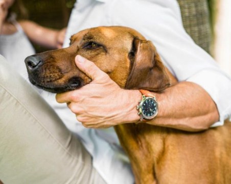 Как да предпазим домашните си любимци от коронавируса?