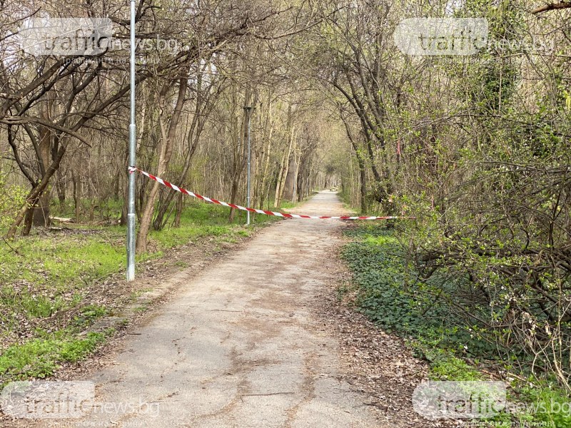 Отцепиха Лаута в Пловдив