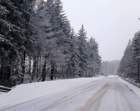 Над 340 машини обработват пътищата след снеговалежа