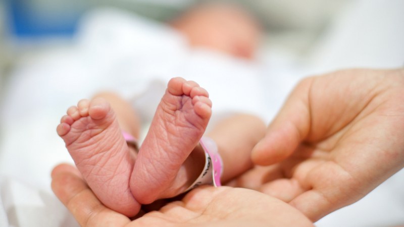 Четири бебета се родиха в болница под карантина
